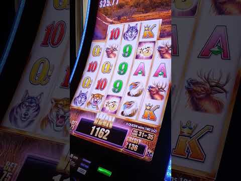 Spill Buffalo-casinospill på nett i Norge - En fullstendig guide