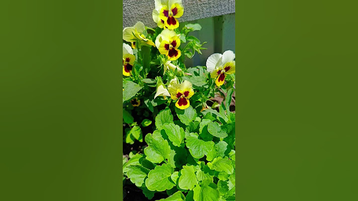 До конца (там самое интересное!!!
