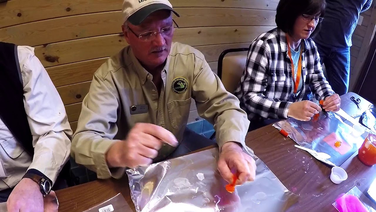 How to make a spawn bag for bait YouTube