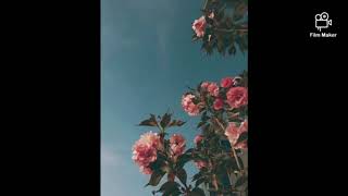 Eminem post malone lewis capaldi guarddown Guide