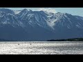 Surfing Alaska's Turnagain Arm Bore Tide