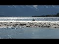 Surfing Alaska's Turnagain Arm Bore Tide