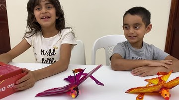 GO GO bird toy review