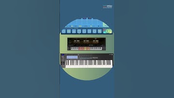 Groove Shaper  V1.1 (Note Limit Mode) | Demo