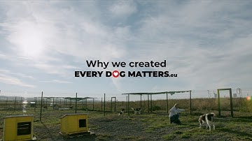 Why we created "Every Dog Matters EU"