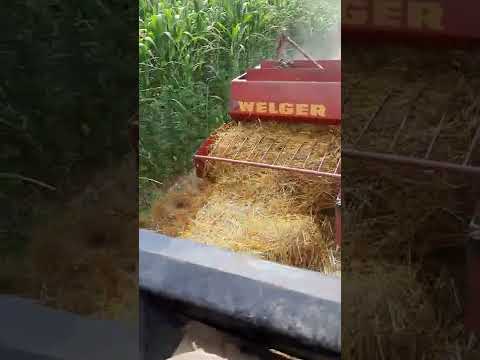 Tunjalo 54 welger
