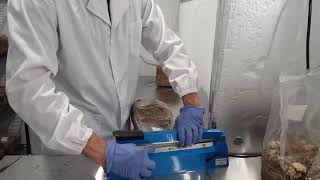Inoculating Sawdust Blocks with Lion's Mane Grain Spawn - Growing Mushrooms.