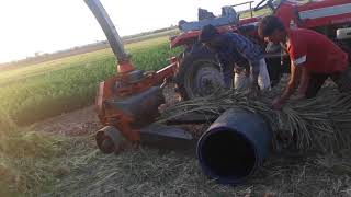 Massey Ferguson Is Shredding Date Palm Leaves Cotton Stalk With Shaktiman Shredder