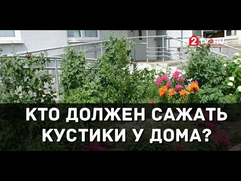 Обязанности управляющих компаний. Кто должен сажать кустики у дома