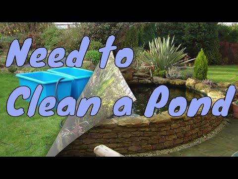 تصویری: تمیز کردن حوض باغ - نکات & توصیه برای تمیز کردن حوض در فضای باز
