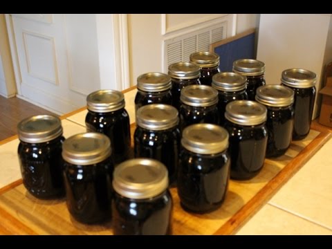 20 Pints of Jelly - Mulberry, Huckleberry, Blackberry