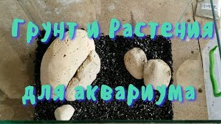Грунт и Растения для бюджетного аквариума. #3 Грунт и Растения для бюджетного аквариума. #3