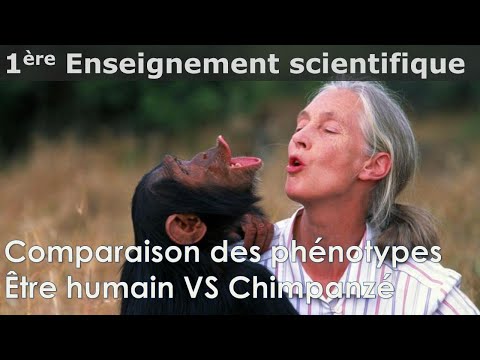 Vidéo: Similitudes Entre L'ADN Humain Et De Chimpanzé. Des Preuves D'évolution? - Vue Alternative