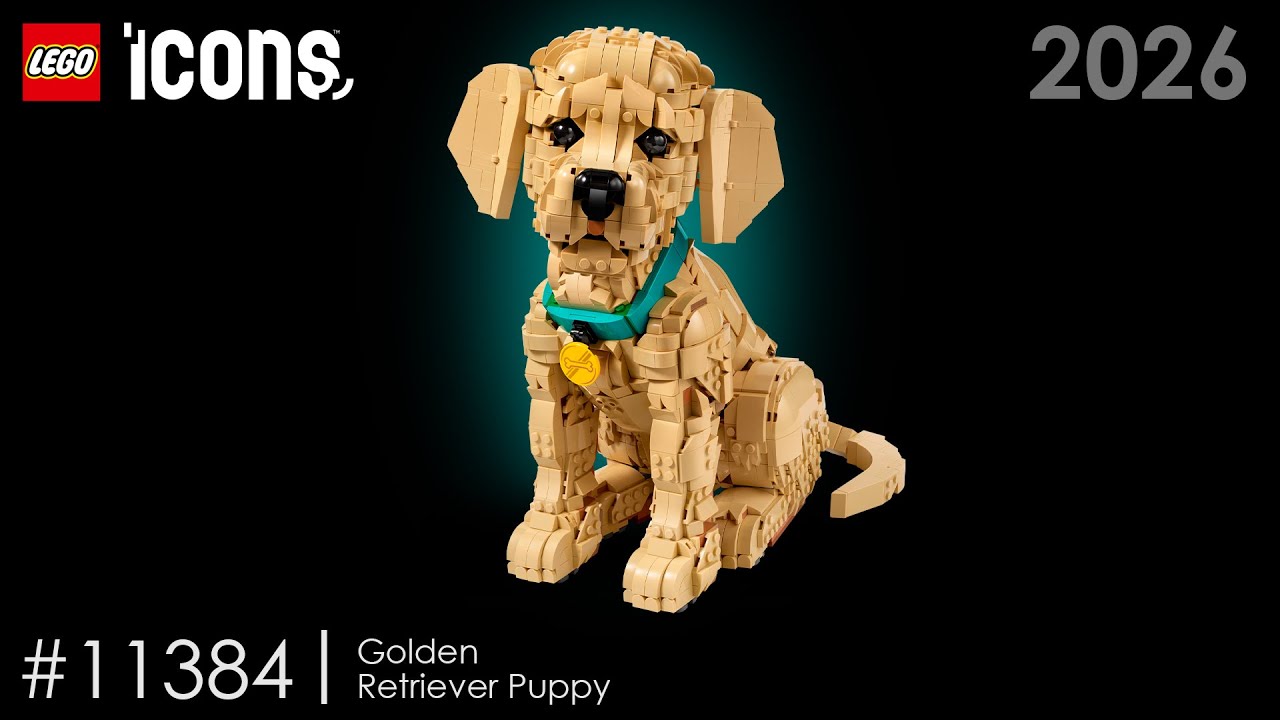 LEGO Icons - Golden Retriever Puppy 11384 - YouTube