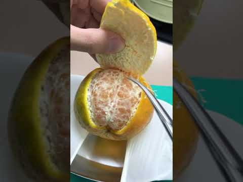 20201202基礎手術作業 橘子切片1