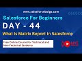 What is matrix report in salesforce  salesforce bulge  reports in salesforce