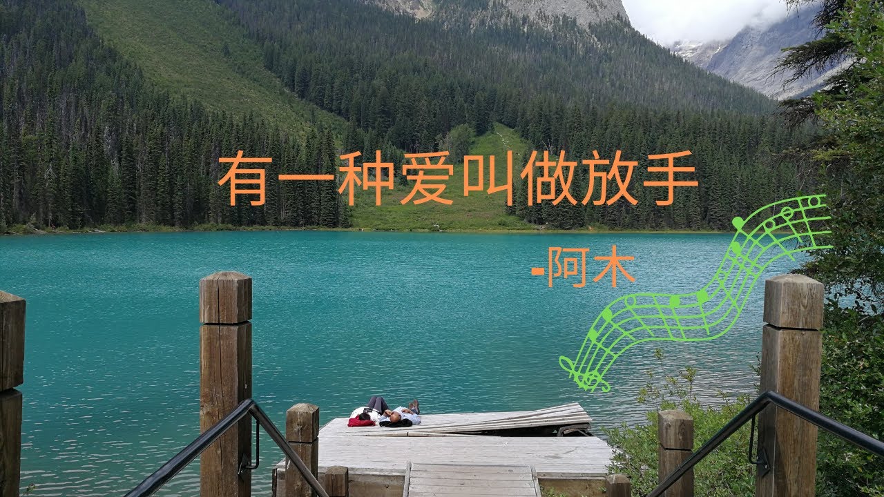 在爱与放手之间