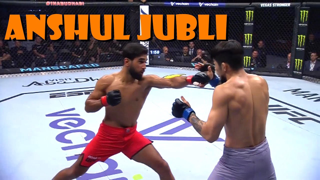 ANSHUL JUBLI HIGHLIGHTS  KING OF LIONS HD