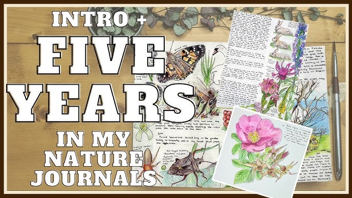 October in my Nature Journal - Painting and Collaging Speedpaint 