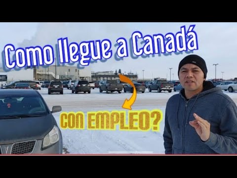 ¿Qué Es El Empleo Precario En Canadá?