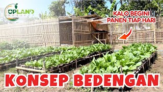 4 Konsep Bedengan untuk Pertanian 1005  Konsep Pertanian Organik | UPLAND Project