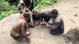 Pygmes Making Fire in Uganda Africa - rubbing sticks together