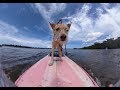 RICOH THETA V Sample video - Paddleboard