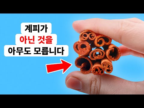내면의 미식가 수준을 높여줄 <strong>식품</strong> <strong>정보</strong>