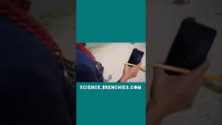 Coastline Mapping Surfside Science