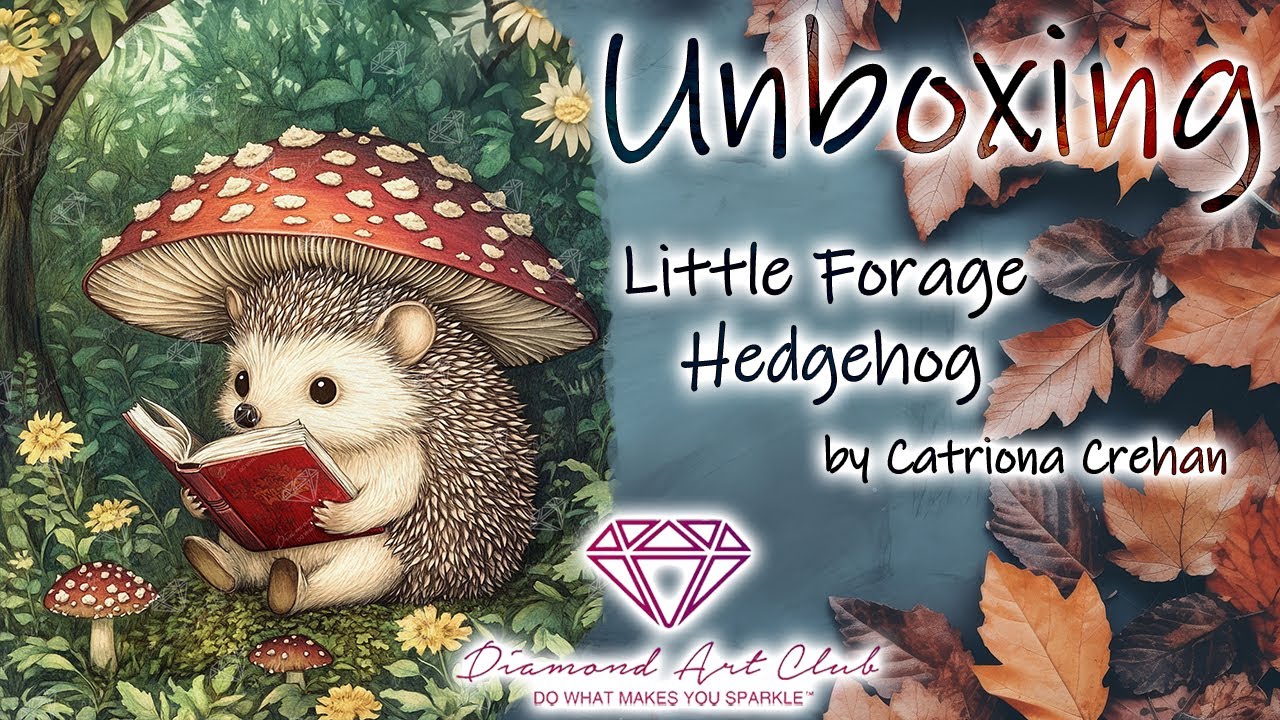 Unboxing | Diamond Art Club - Little Forage Hedgehog