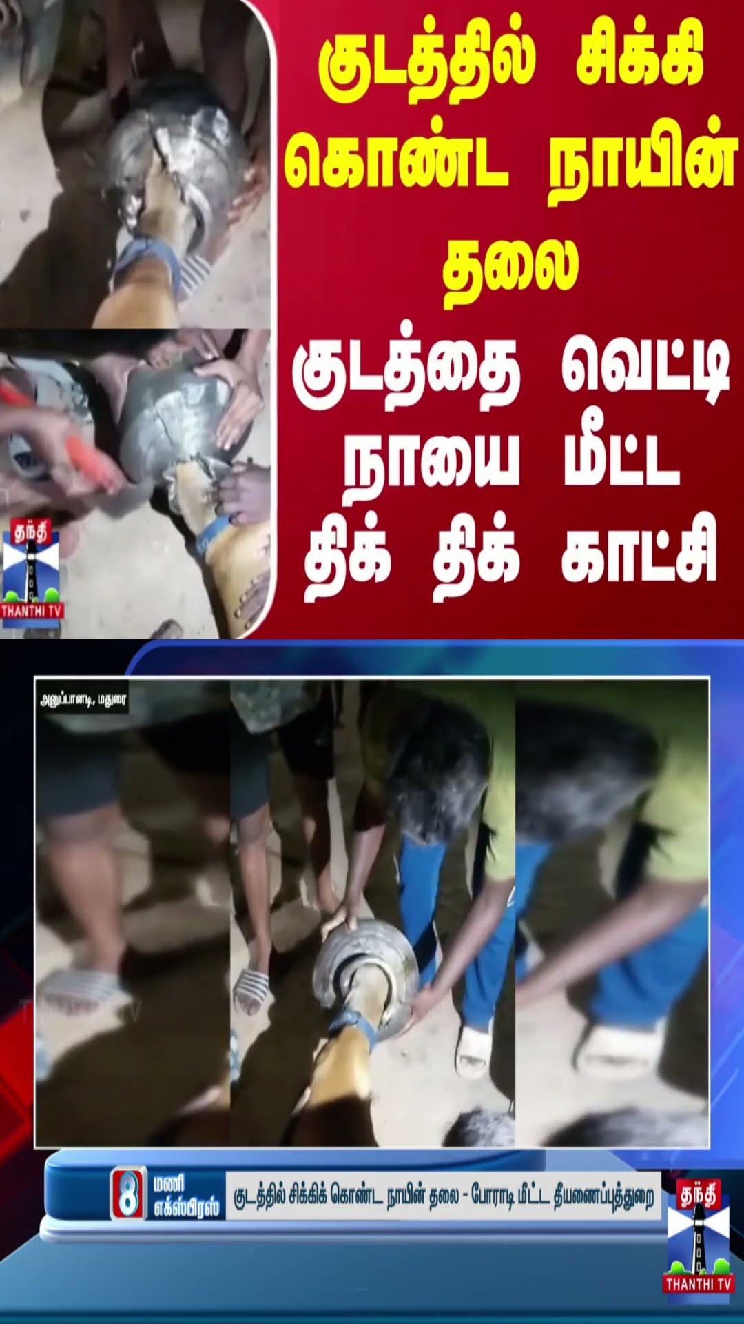 குடத்தில் சிக்கி கொண்ட நாயின் தலை.. குடத்தை வெட்டி நாயை மீட்ட திக் திக் காட்சி