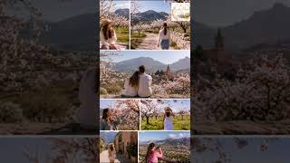 Hey Mallorca! 🤍 Mandelblüte auf Mallorca 2 #entspannend #audiostory #mallorca #inselleben #reisen