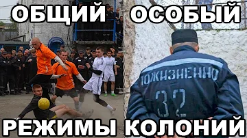 Чем отличается тюрьма от колонии-поселения