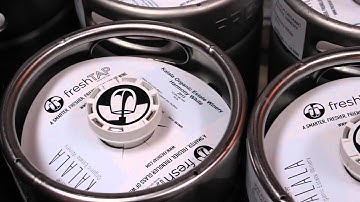 IAT 313 Direct Tap Clip