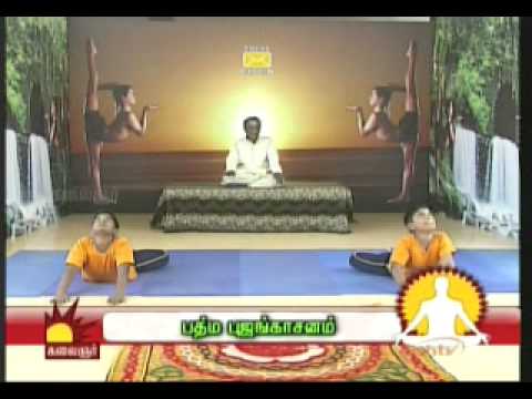 Dr Asana Andiappan Kalaignar Tv Yoga Program 30.04.2013 ashtanga mysore