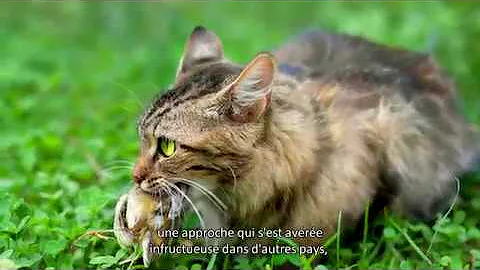 2017 Not-for-Profit (Small/Medium) Nature Inspiration Award