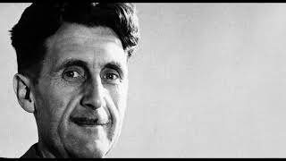 Language, Thought, & Politics