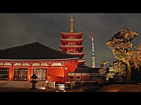 浅草寺 五重塔 ライトアップ 2025年12月3日 ASAKUSA CULTURE & LIGHTS