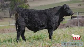 Lot 18   Target On Fire T3