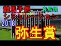 弥生賞 2018 競馬予想シミュレーション by StarHorsePocket(SEGA)