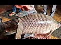 Fastest Big Rohu Fish Cleaning & Cutting In Fish Market - Fish Cutting Skills