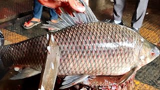 Fastest Big Rohu Fish Cleaning & Cutting In Fish Market - Fish Cutting Skills