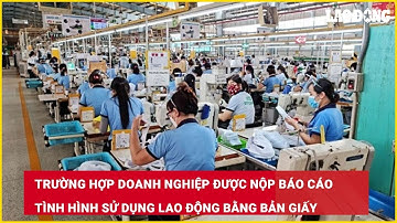 Trường hợp doanh nghiệp được nộp báo cáo tình hình sử dụng lao động bằng bản giấy| Báo Lao Động