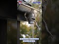 Why Every American Homeowner Ignores This (And Pays $10K Later) #Gutters #HomeTips