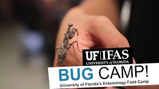 Bug Camp