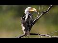 Namibia Tour 2025 From South To Far North East Visiting Many Camp Sites 