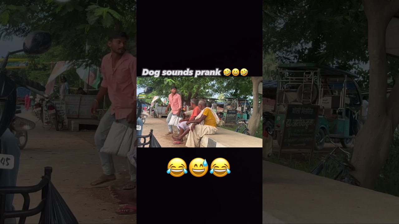 Dog sounds prank 🤣😆😂 