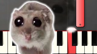Sad Hamster Violin Meme [Piano Tutorial]