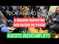 Tocata pavo bonitodvd completoencontro com os razes310823