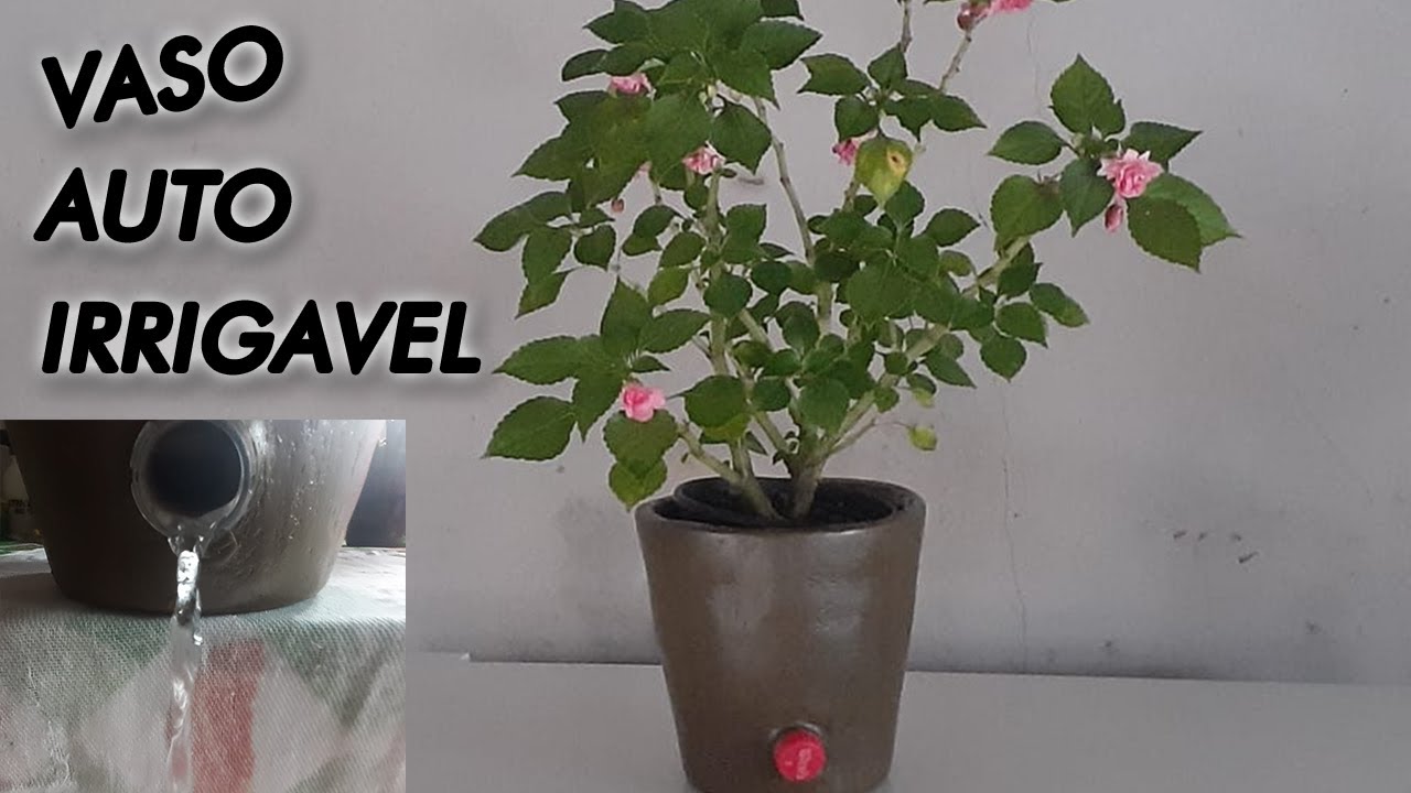 Vaso AUTO IRRIGÁVEL de CIMENTO